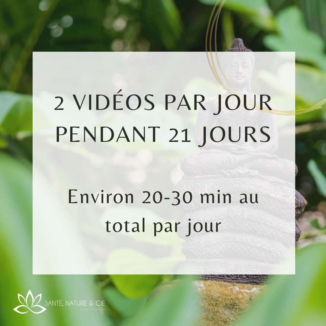 programme enracinement