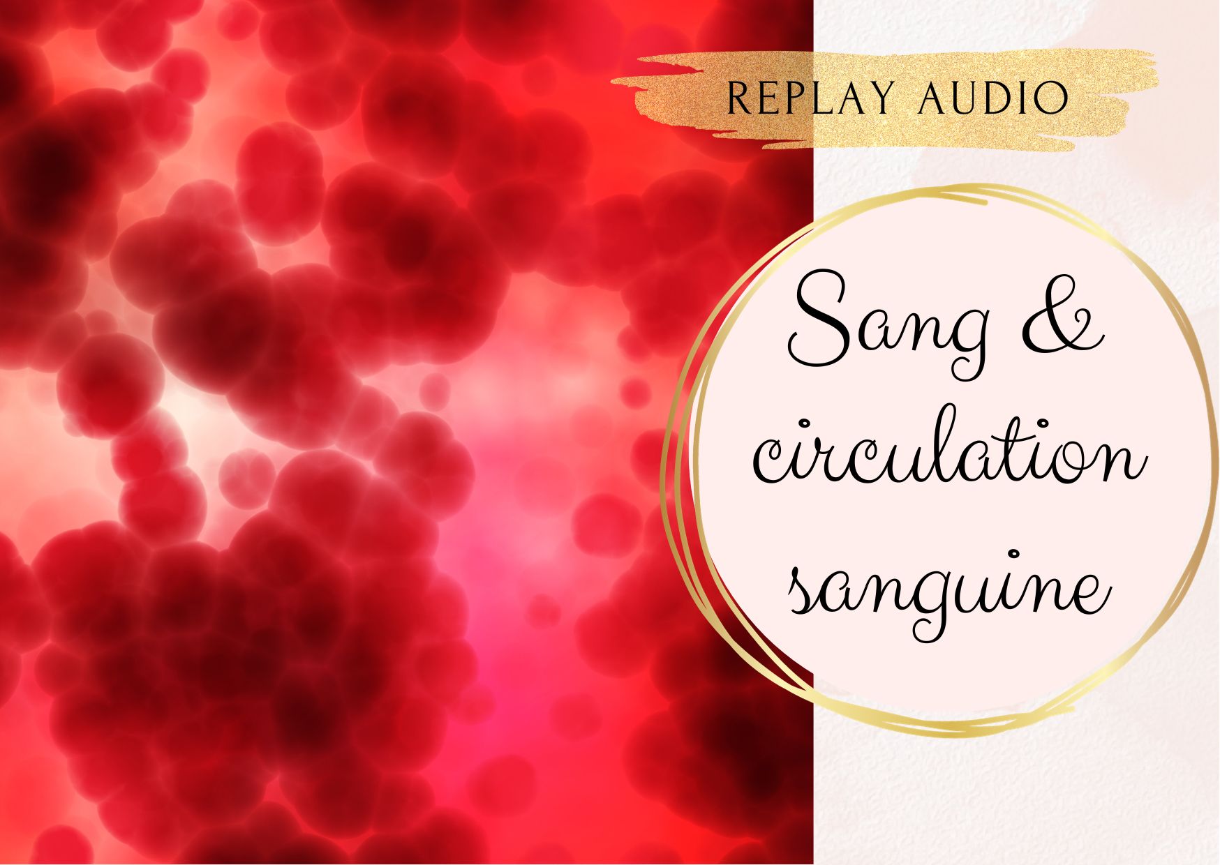 Soin "Sang et circulation sanguine" - audio