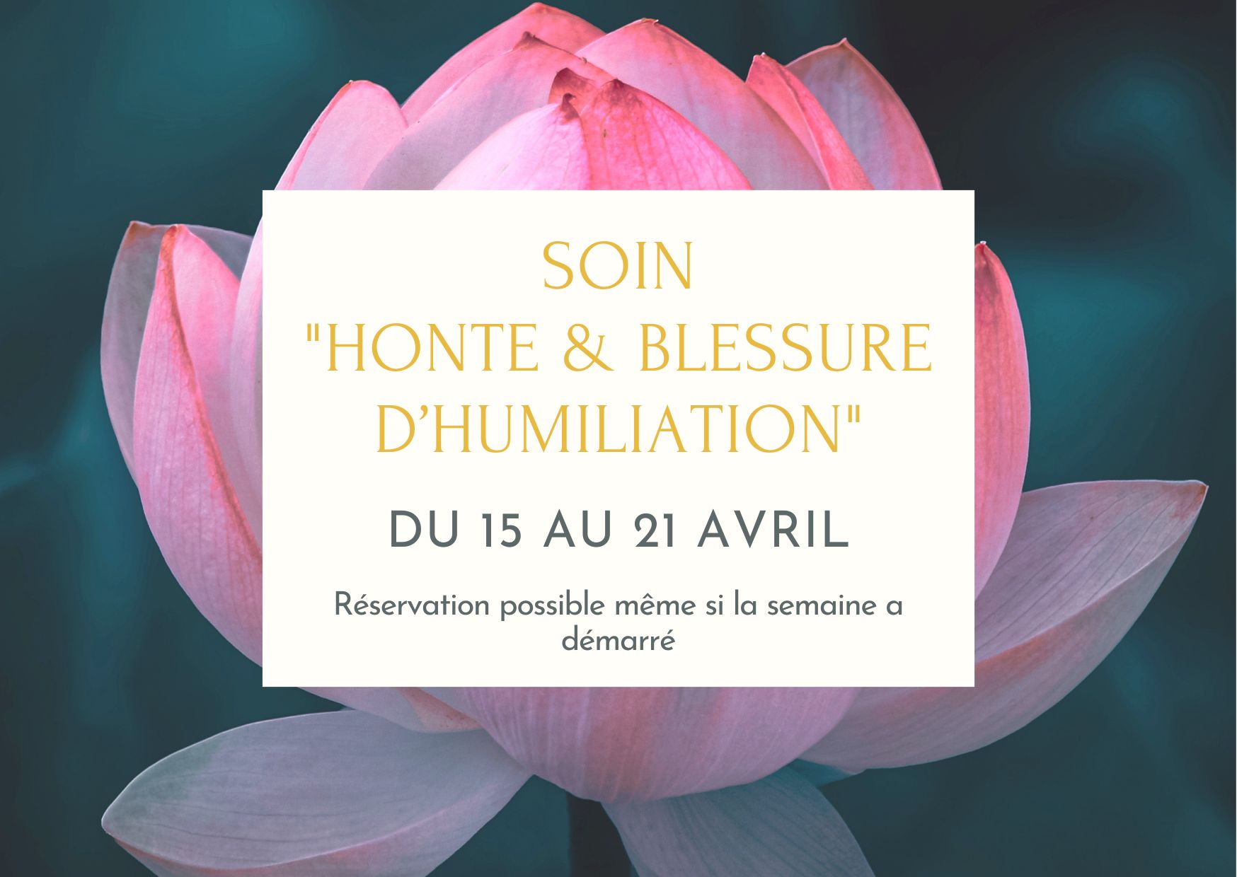 Soin "Blessure d'humiliation"
