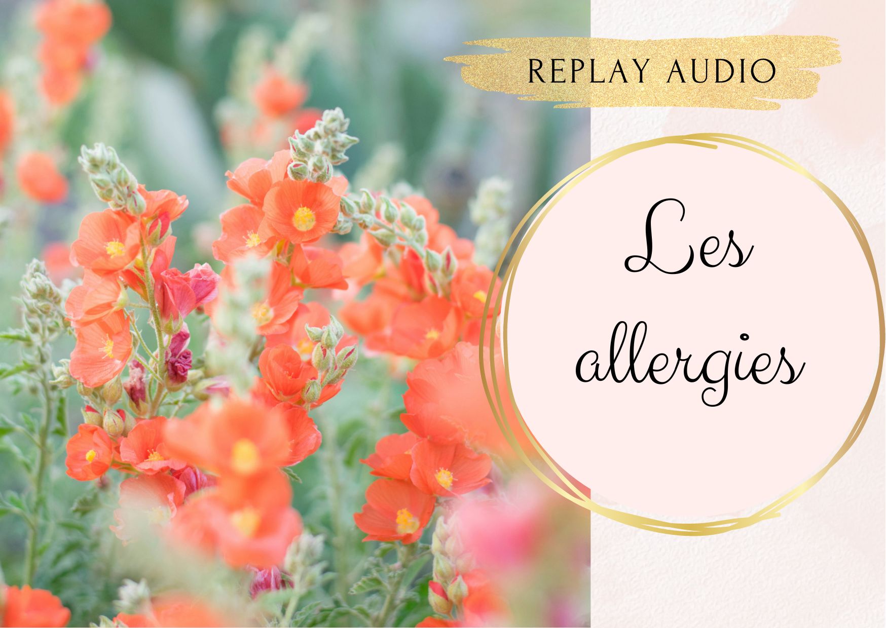 Soin "Allergies" - audio