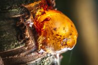 Signification émotionnelle de la hernie : discale, hiatale, inguinale, ombilicale