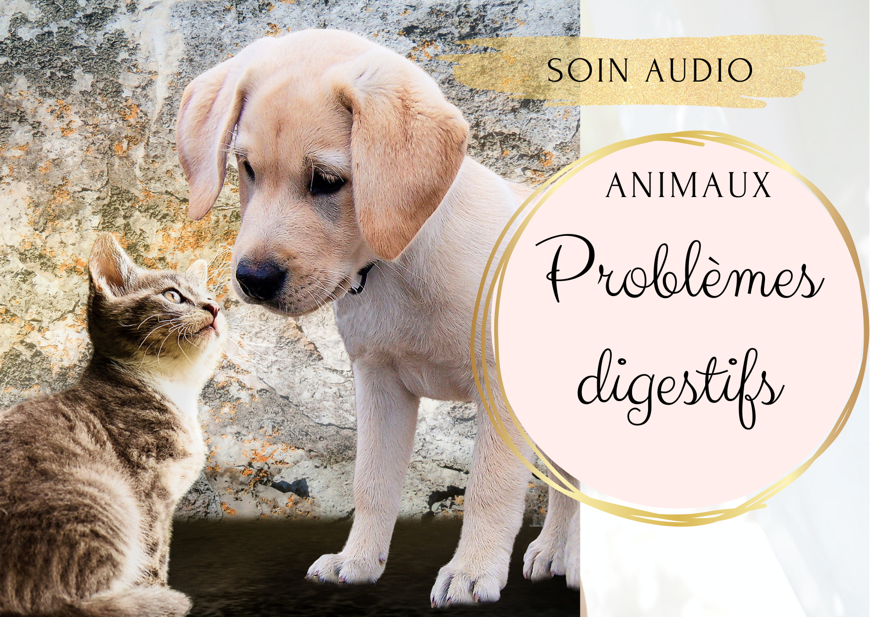 soin énergétique pour apaiser les problèmes digestifs, maux de ventre et diarrhée.