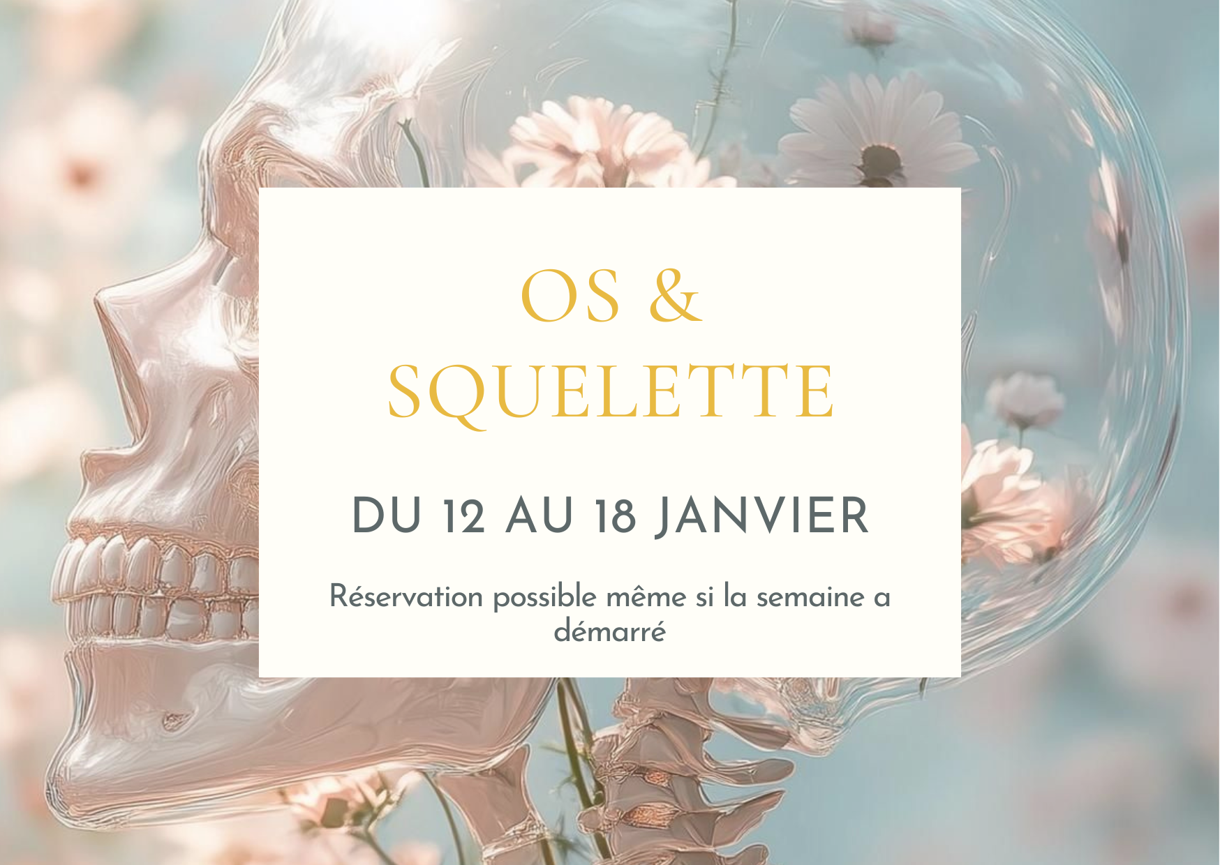 Soin "Os et squelette"
