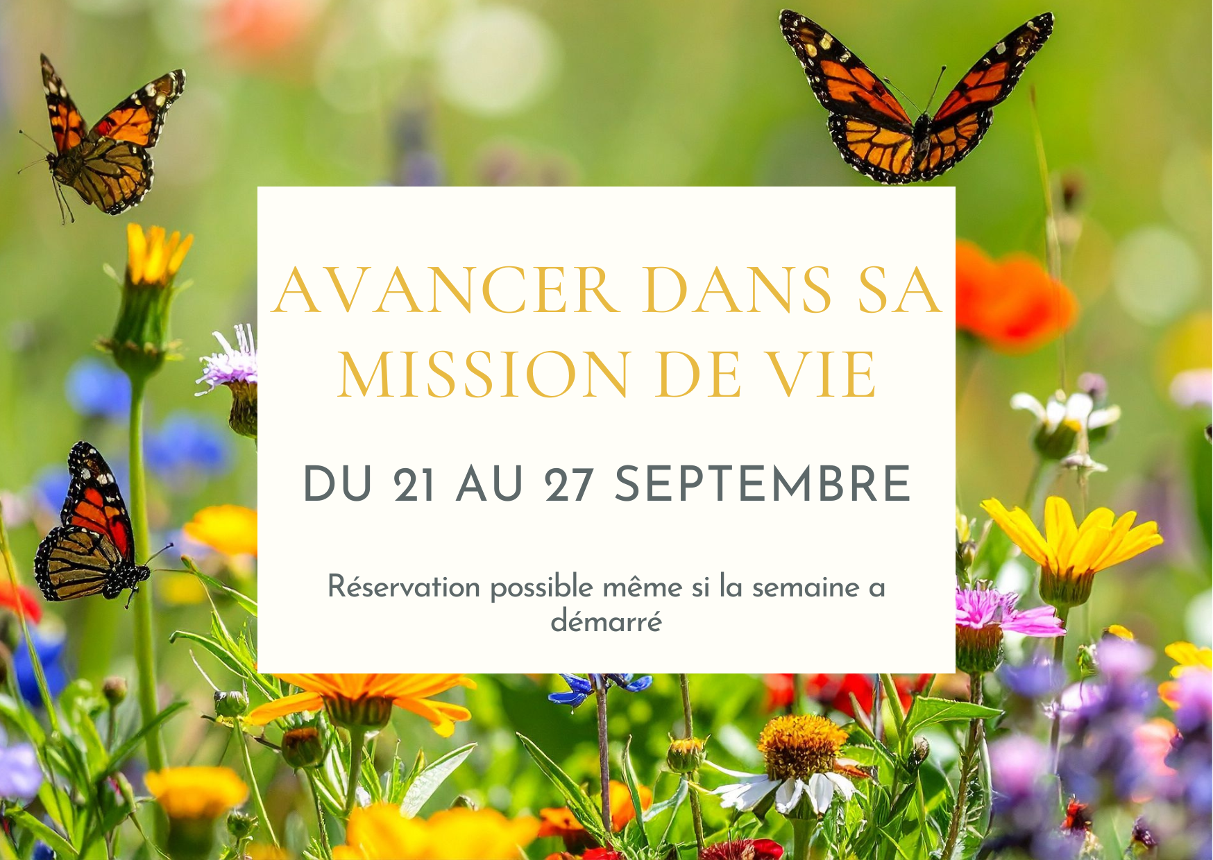 Avancer dans sa mission de vie - Soin collectif