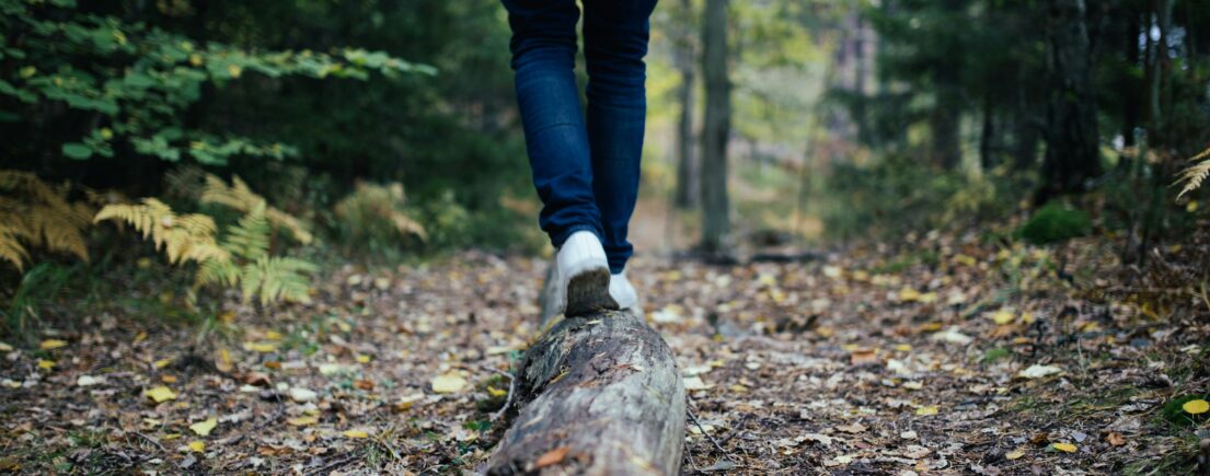 Hypophyse : signification émotionnelle et symbolique