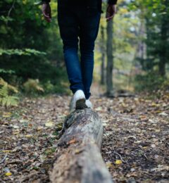 Hypophyse : signification émotionnelle et symbolique