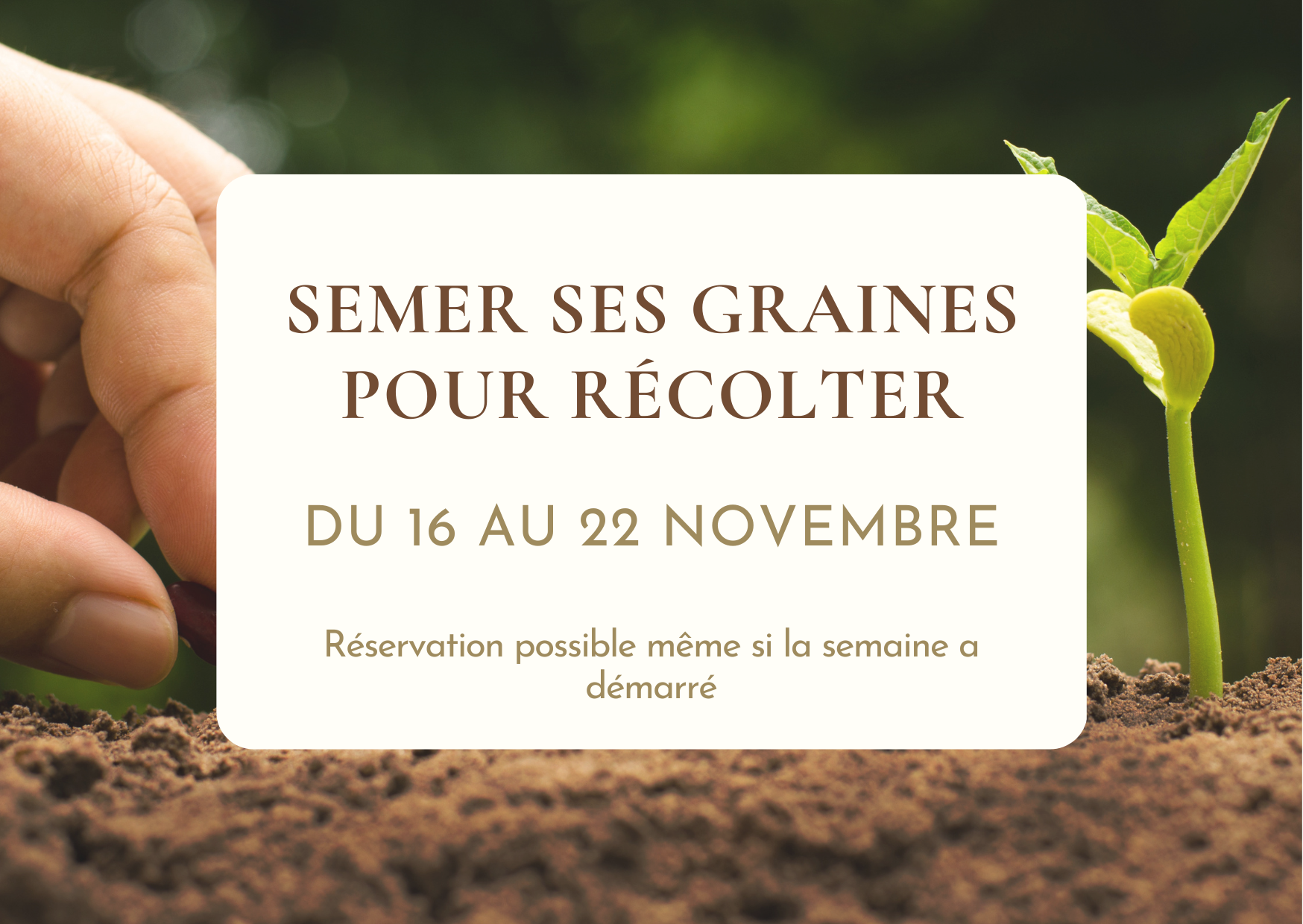 Semer ses graines pour récolter - Soin collectif