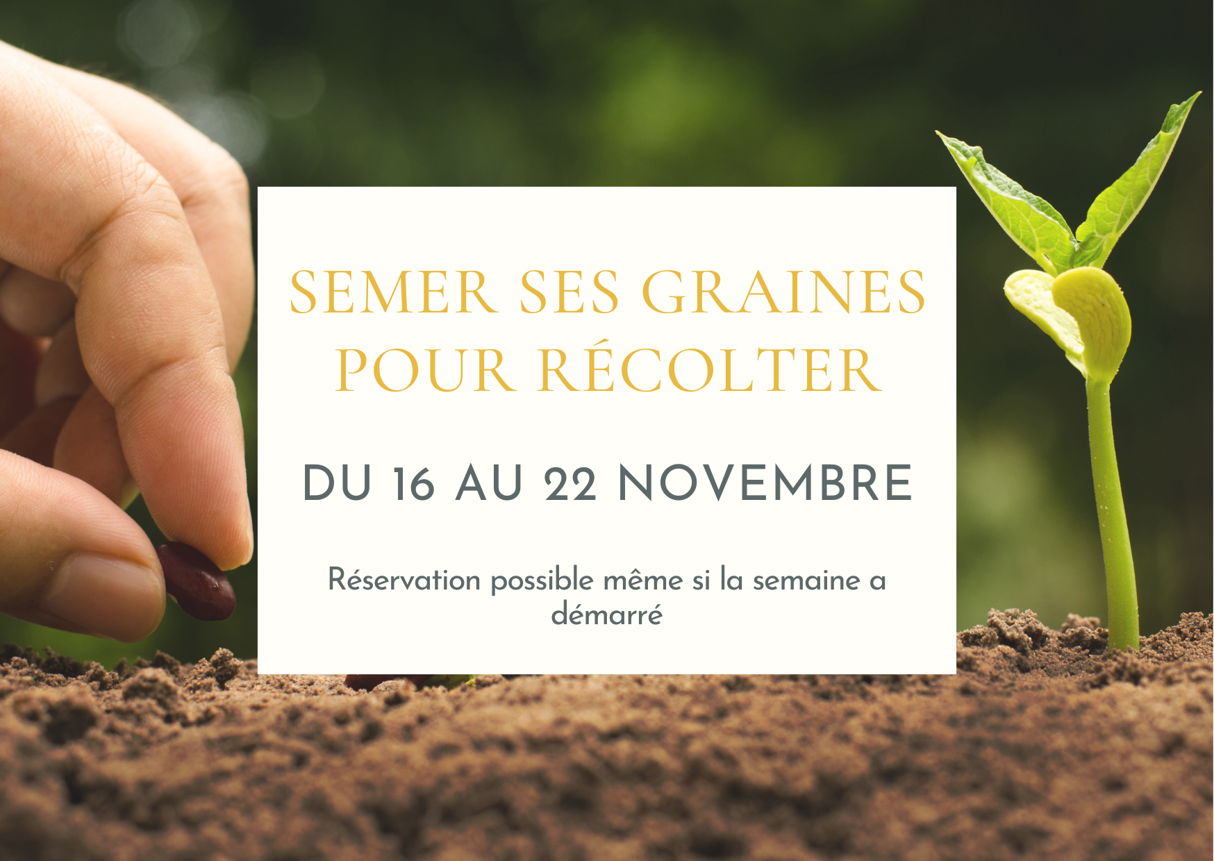 Semer ses graines pour récolter - Soin collectif