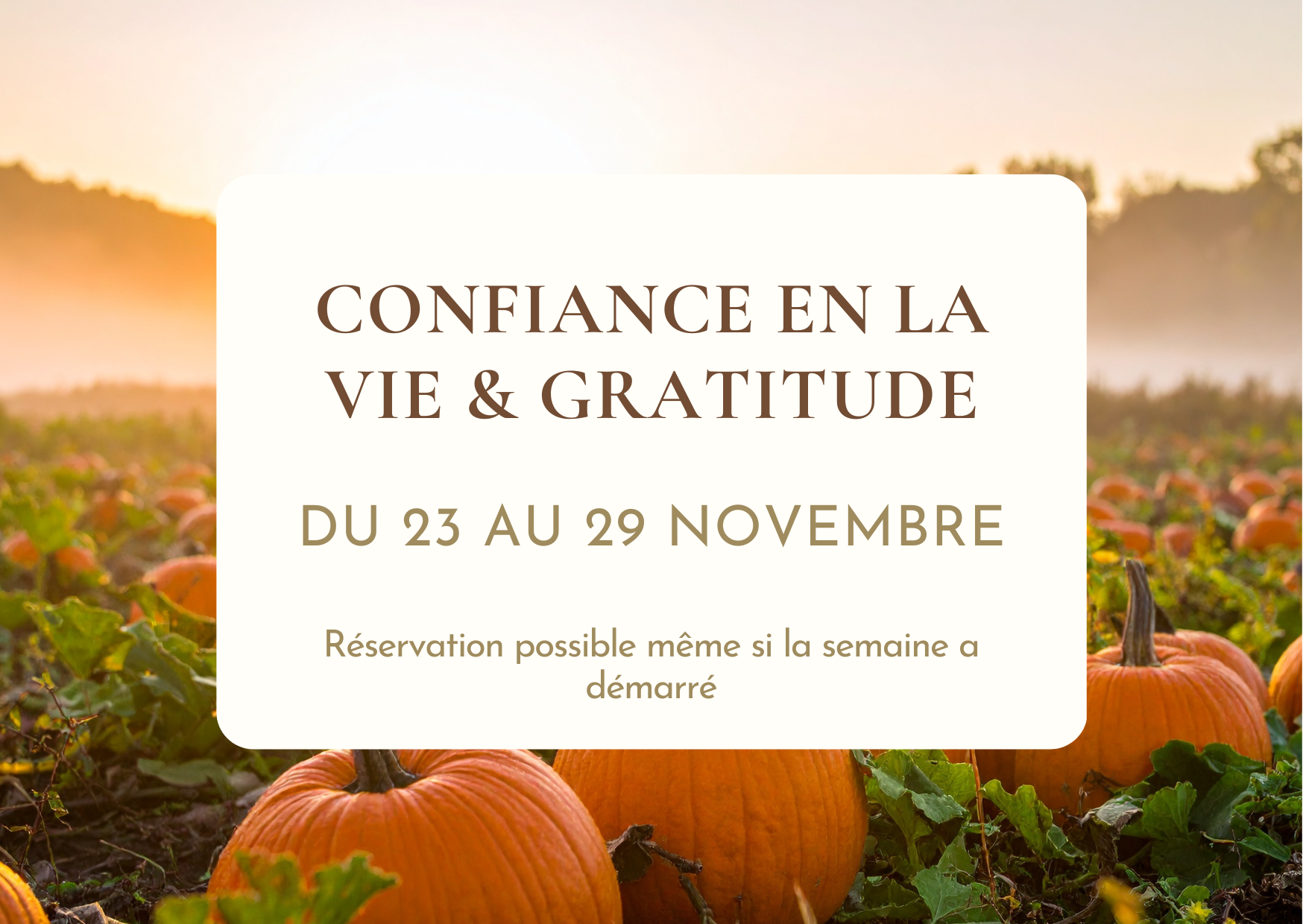 Confiance en la vie & Gratitude - Soin collectif