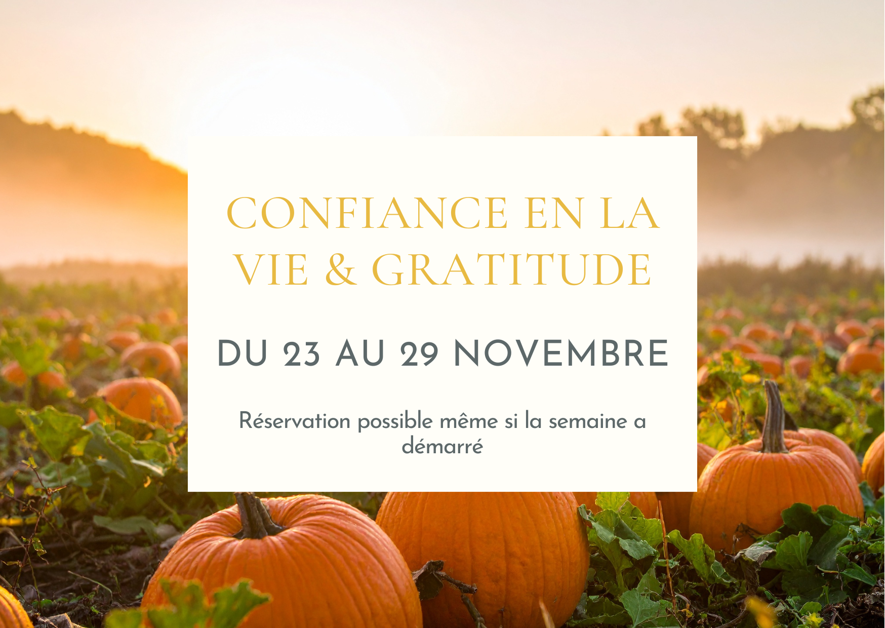Confiance en la vie & Gratitude - Soin collectif